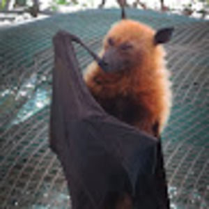 Meet your Posher, Stormy